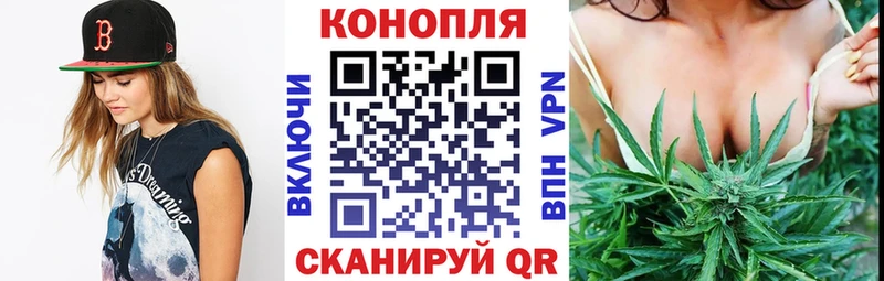 Купить закладку Гашиш  A PVP  Меф мяу мяу  Псилоцибиновые грибы  КОКАИН  Канабис  Дмитриев