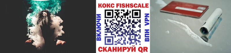Купить где  Дмитриев  COCAIN Боливия 