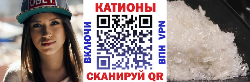 Купить  Дмитриев  Меф мука 