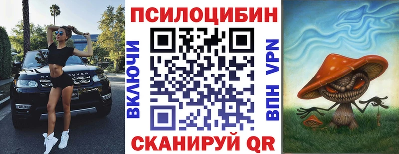 Галлюциногенные грибы Psilocybe  Купить где  Дмитриев 