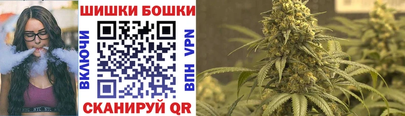 Шишки марихуана AK-47  Купить закладки  Дмитриев 